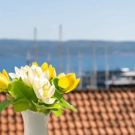 Apartman Kate Only 10 Meter From Near Split